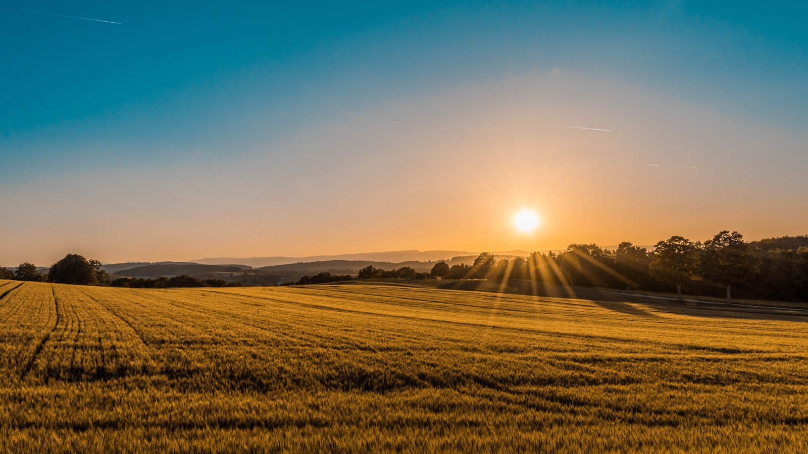 Cultivating Rural Prosperity